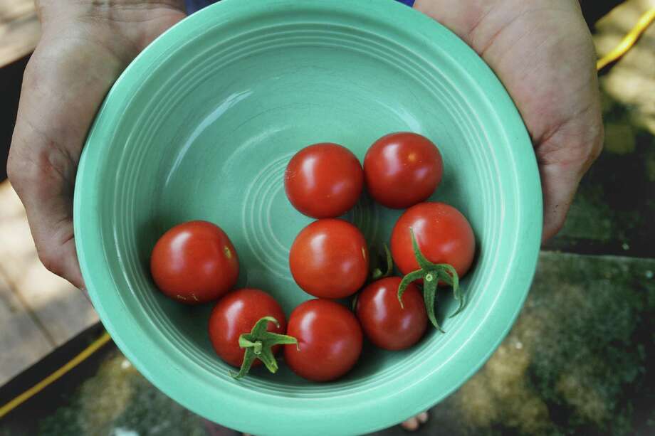 March Gardening Events In The Houston Area Houston Chronicle