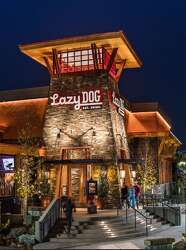 A Table For Two And Fido Too Lazy Dog Restaurant Bar Features Pet Friendly Menu And Patio Houstonchronicle Com