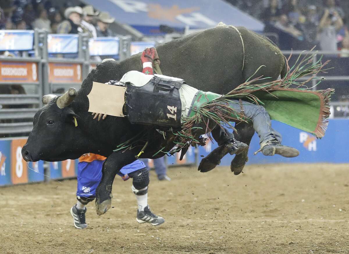 Josh Frost gets bucked off Foolish Crimes as he competed in the bull riding event at the Houston Livestock Show and Rodeo at NRG Stadium, Friday, March 8, 2019, in Houston.