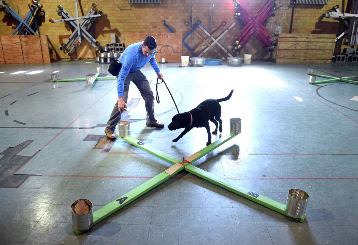 Norwalk adds bombdetection dogs to K9 Unit