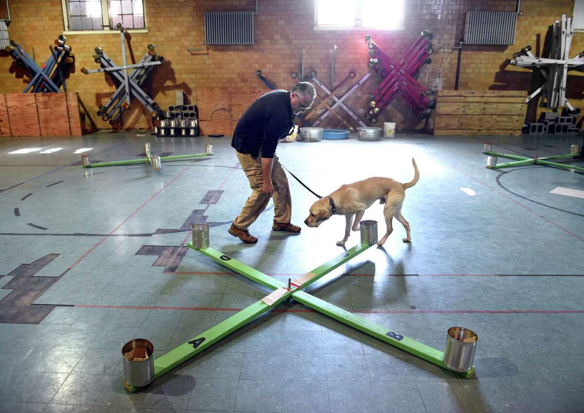 Norwalk adds bombdetection dogs to K9 Unit