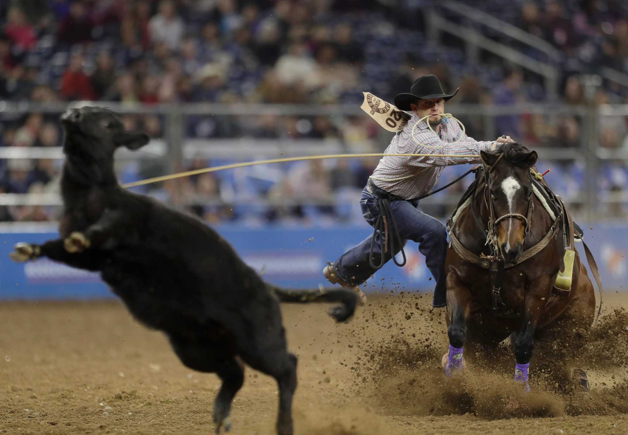 Protests Of Calf Roping Ignore Its Roots In Ranching Veteran Contestant Says Protests Of Calf Roping Ignore Its Roots In Ranching Veteran Contestant Says