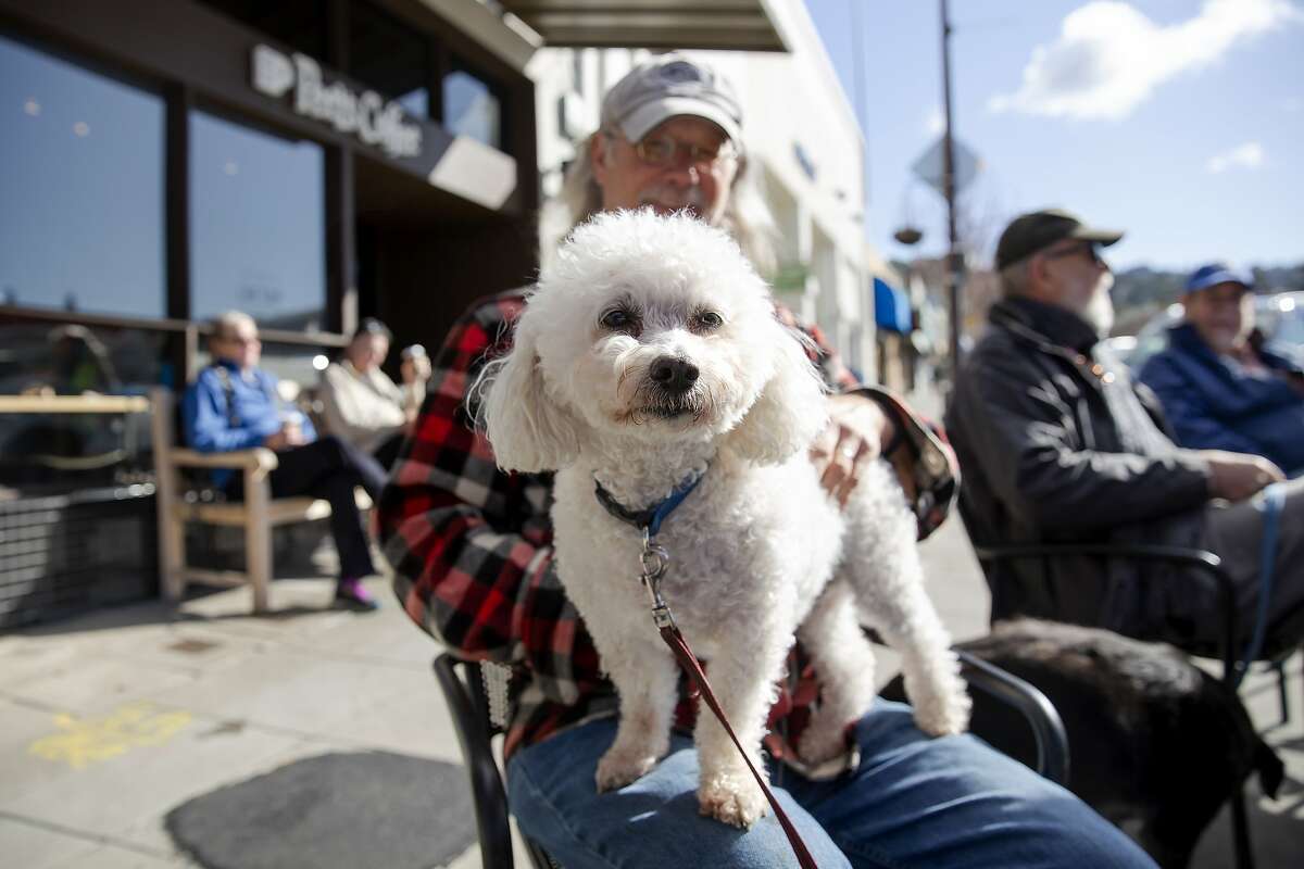 Jim Fay sits with his dog Henry outside of Peet's Coffee on Solano Avenue in Albany, Calif. on Friday morning, March 9, 2019.