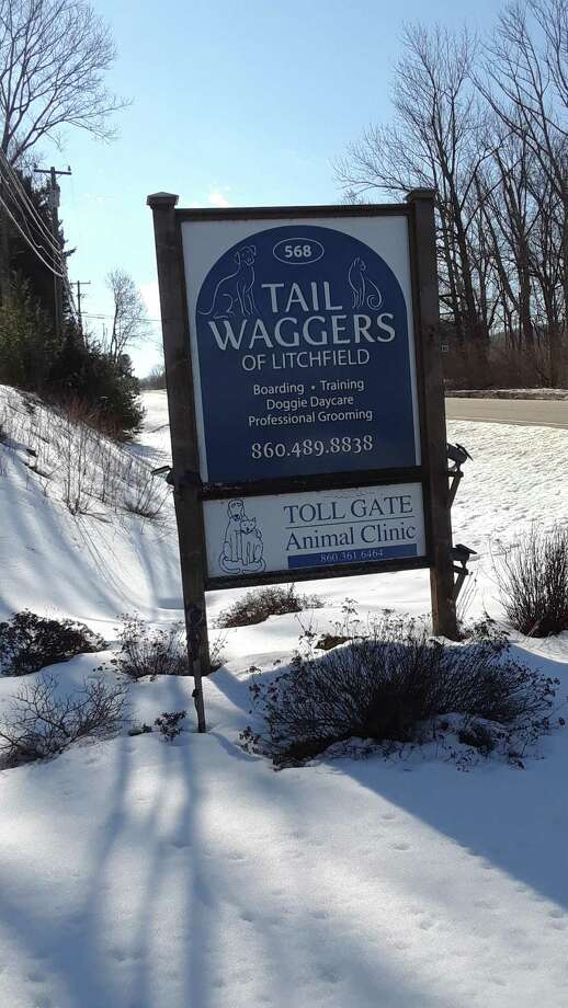 Litchfield S Toll Gate Animal Clinic Owners Vow To Reopen The