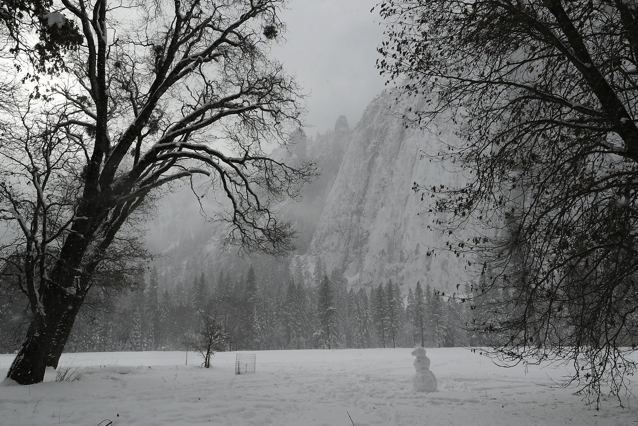 Yosemite To See A Slow Start To Spring Due To Heavy Snow