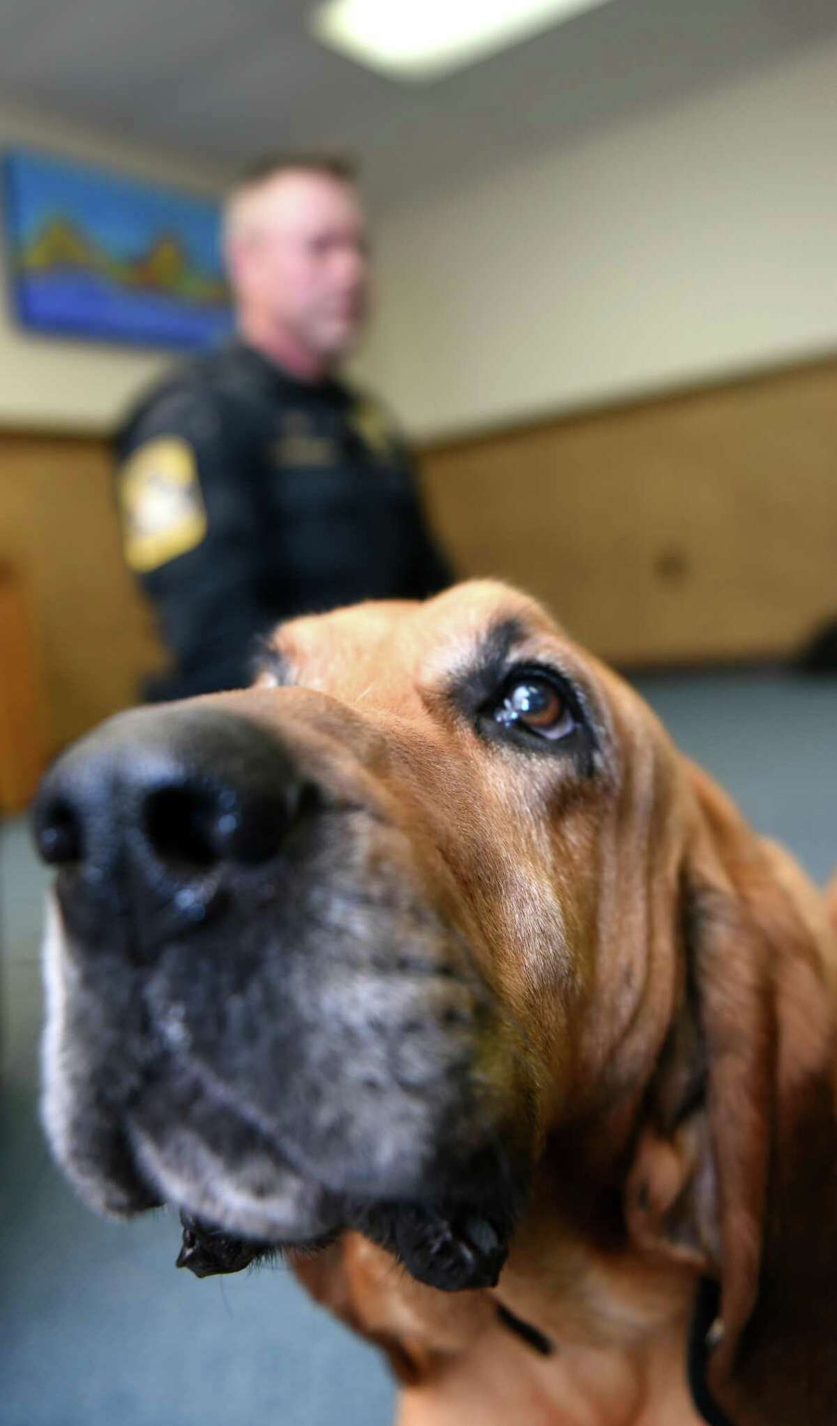 CT police K9 unit ‘It’s like getting paid to go hunting every day’