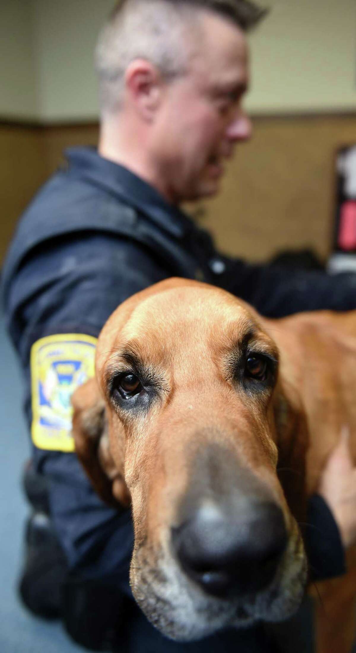 CT police K9 unit ‘It’s like getting paid to go hunting every day’