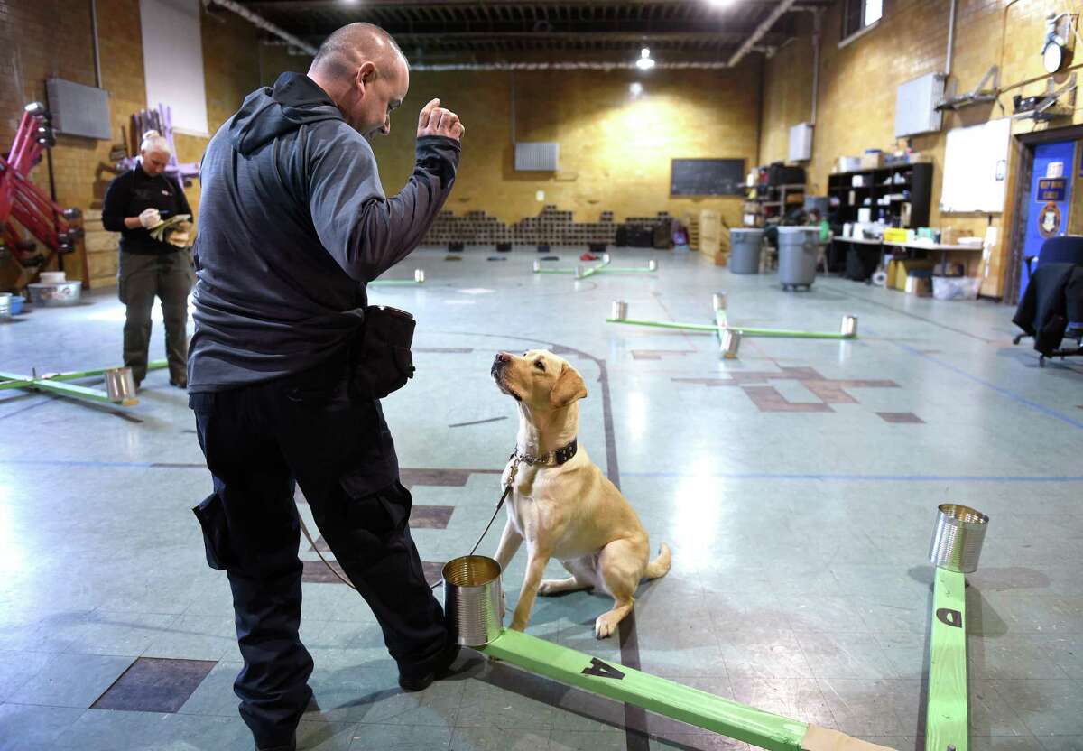 CT police K9 unit ‘It’s like getting paid to go hunting every day’