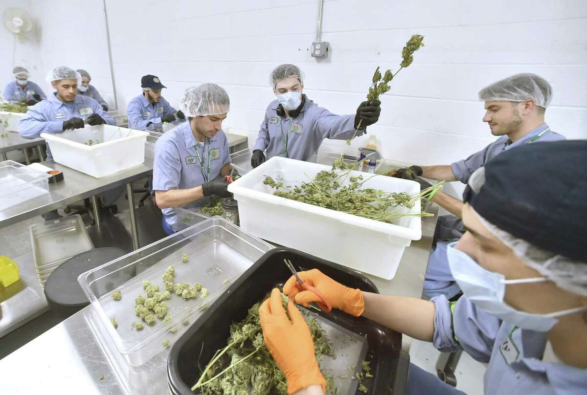 Advanced Grow Labs’ production team is shown in a 2018 file photo.