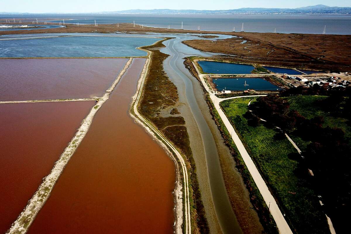 A sprawling collection of Redwood City salt ponds, owned by Cargill Inc., protected under the Clean Water Act, a 1972 law.