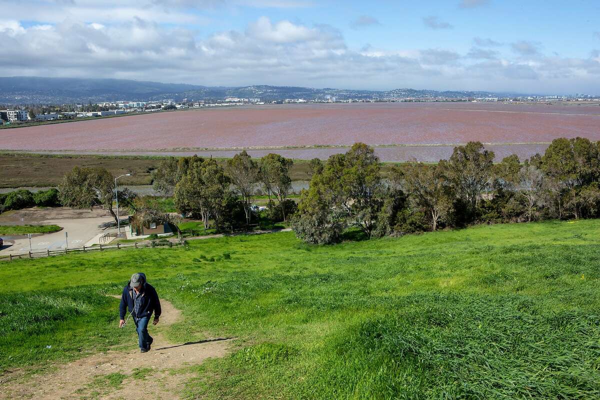 The Cargill salt ponds seen from Bedwell Bayfront Park on March 12, 2019, in Menlo Park.
