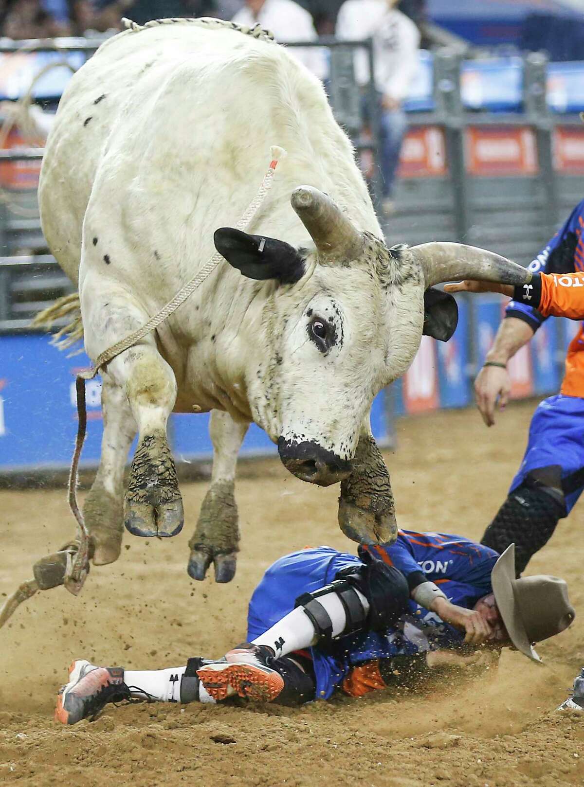 Hambone leaps over bullfighter Cody Webster after Trevor Kastner's ride during RodeoHouston Semifinal 2 at NRG Stadium on Thursday, March 14, 2019, in Houston.