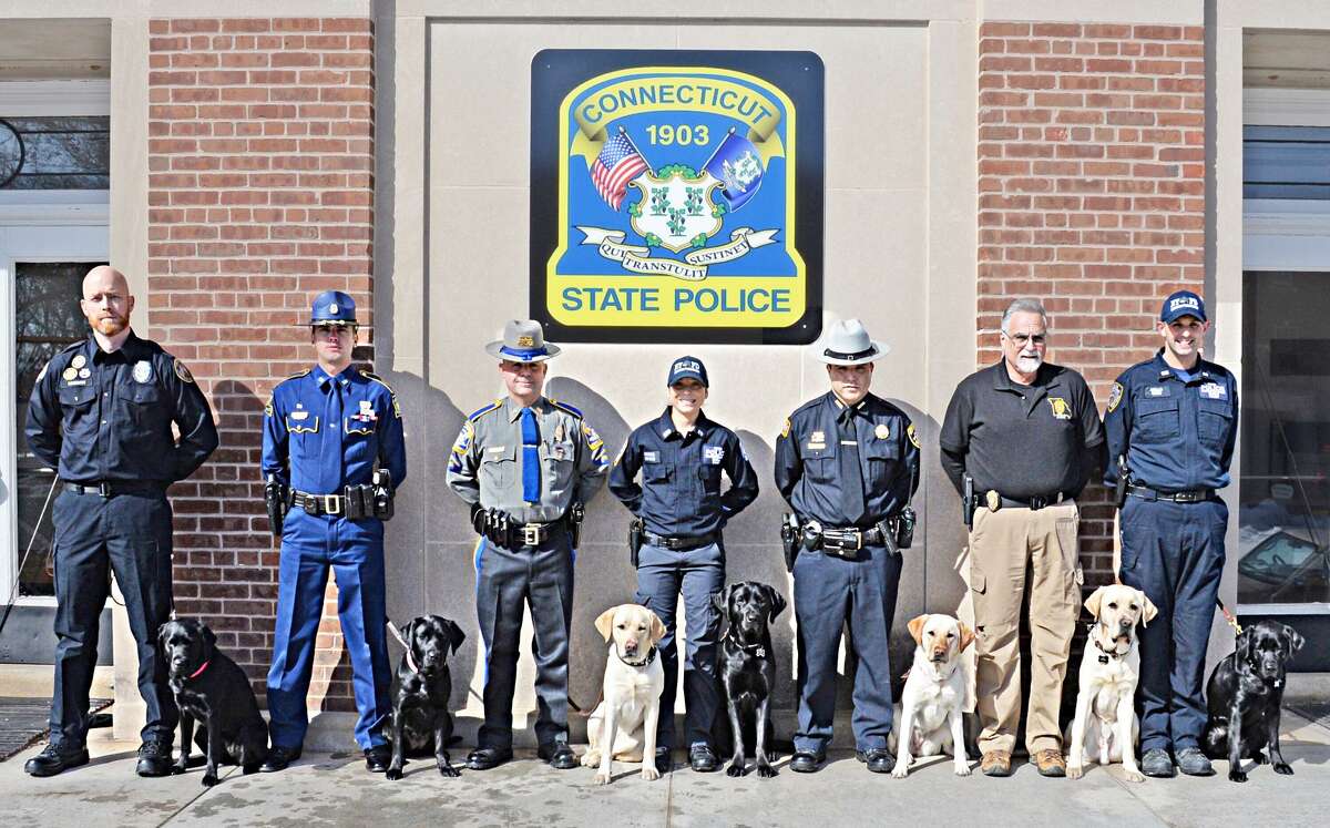 The Connecticut State Police K9 Unit graduated its 200th K9 Training Troop Friday. Seven K9 Teams from throughout the United States now specialize in electronic storage device detection. From left are Officer Dennis Hinkson and canine Officer Pauline, state Department of Corrections Trooper Tommy Bellue and Maggie, Louisiana State Police Det. David Aresco and Dora, CSP Officer Anel Heredia and Hugh, New York City Police Counter Terrorism Investigator John Hyla and Hannah, and Putnam County Sheriff’s Department NY Investigator Cory Stoff and Ike.