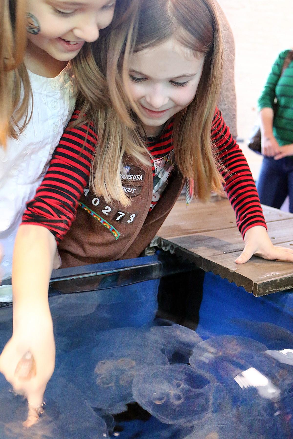 Annual Scout Day means admission discounts at Maritime Aquarium at Norwalk