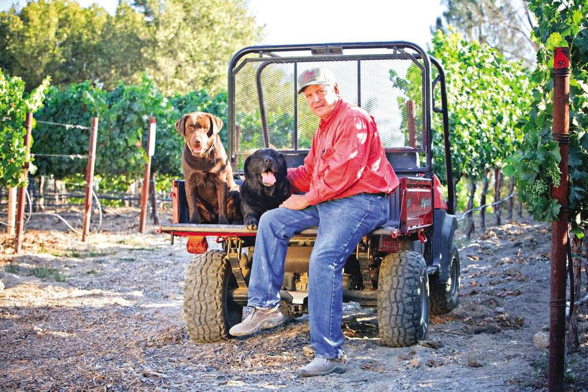Contributed photo Former New York Mets pitcher and former Greenwich resident Tom Seaver has a new passion these days winemaking. He's shown recently at his GTS Vineyards in Calistoga, Calif., with his Labrador retrievers Sawyer and Bandy.