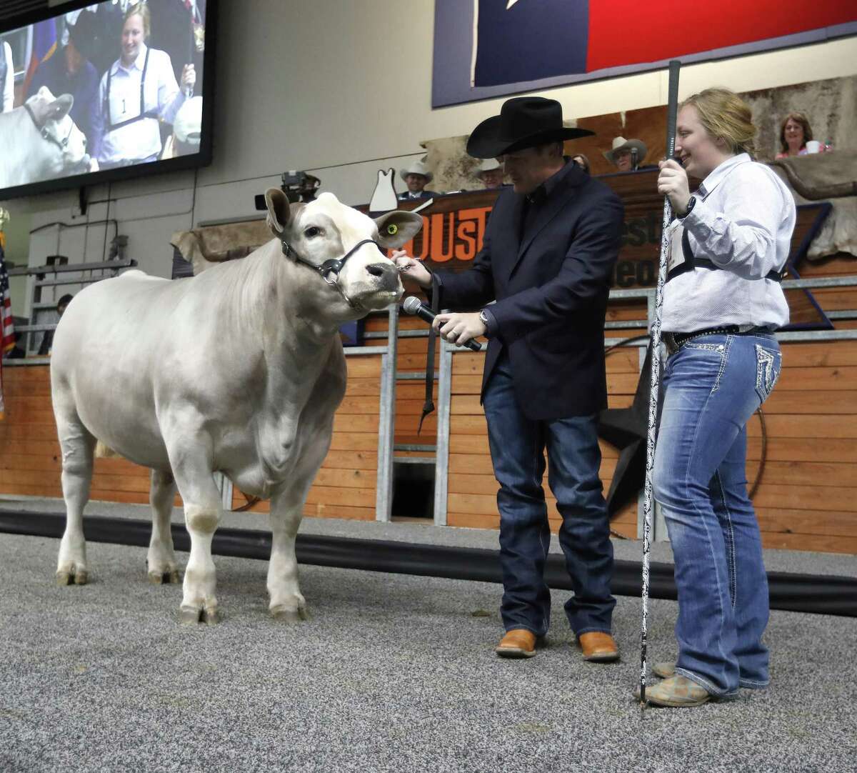 Record falls as top steer takes center stage at Houston Rodeo
