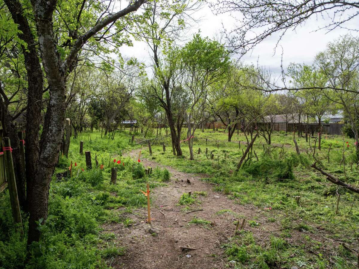 Texas A&M architectural team scans for burial plots at long lost San