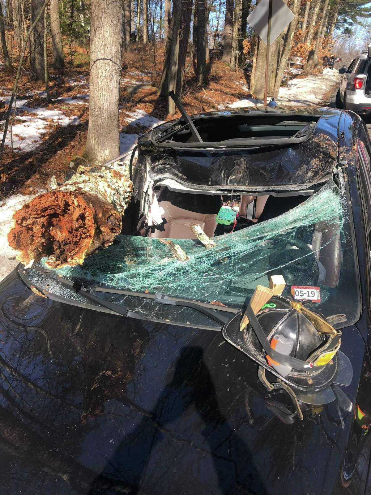 Terrifying photo shows aftermath when tree falls on moving car
