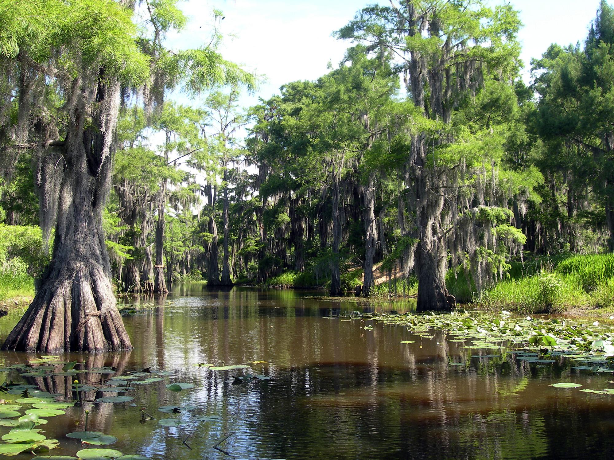 Pascagoula River State Wildlife Management Area