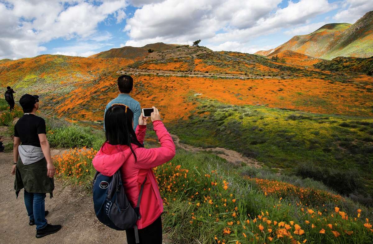 Visitors admire the super bloom, which has turned the hillsides into a sea of orange poppies in Walker Canyon in Lake Elsinore, Calif., on March 9, 2019.