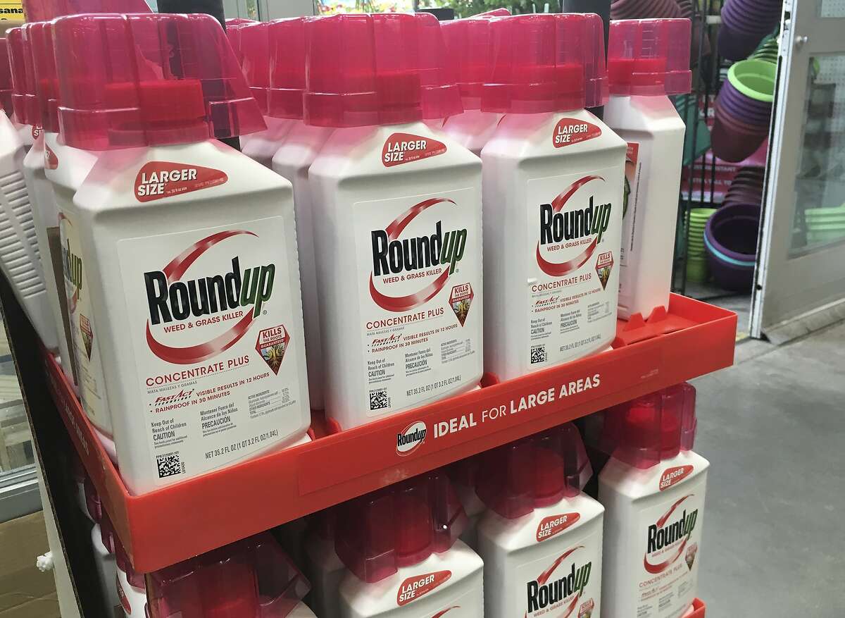 In this Sunday, Feb. 24, 2019 photo, containers of Roundup are displayed at a store in San Francisco. A jury in federal court in San Francisco will decide whether Roundup weed killer caused a California man's cancer in a trial starting Monday, Feb. 25, 2019, that plaintiffs' attorneys say could help determine the fate of hundreds of similar lawsuits. Edwin Hardeman, 70, is the second plaintiff to go to trial of thousands around the country who claim agribusiness giant Monsanto's weed killer causes cancer. (AP Photo/Haven Daley)