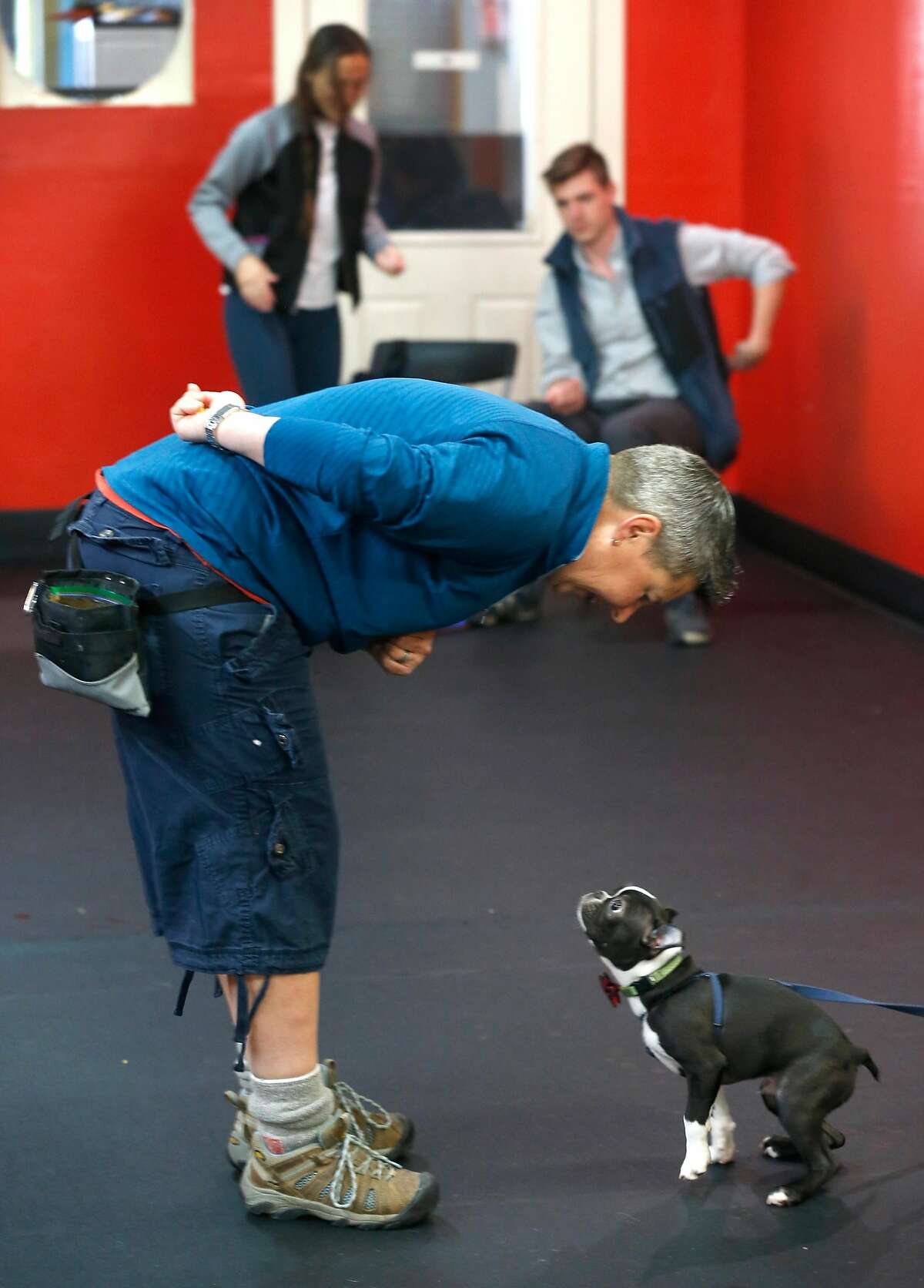 Trainer Mac McNamara works with Bruno during a Kindergarten class for puppies at the SF Puppy Prep school for dogs in San Francisco, Calif. on Saturday, March 16, 2019.