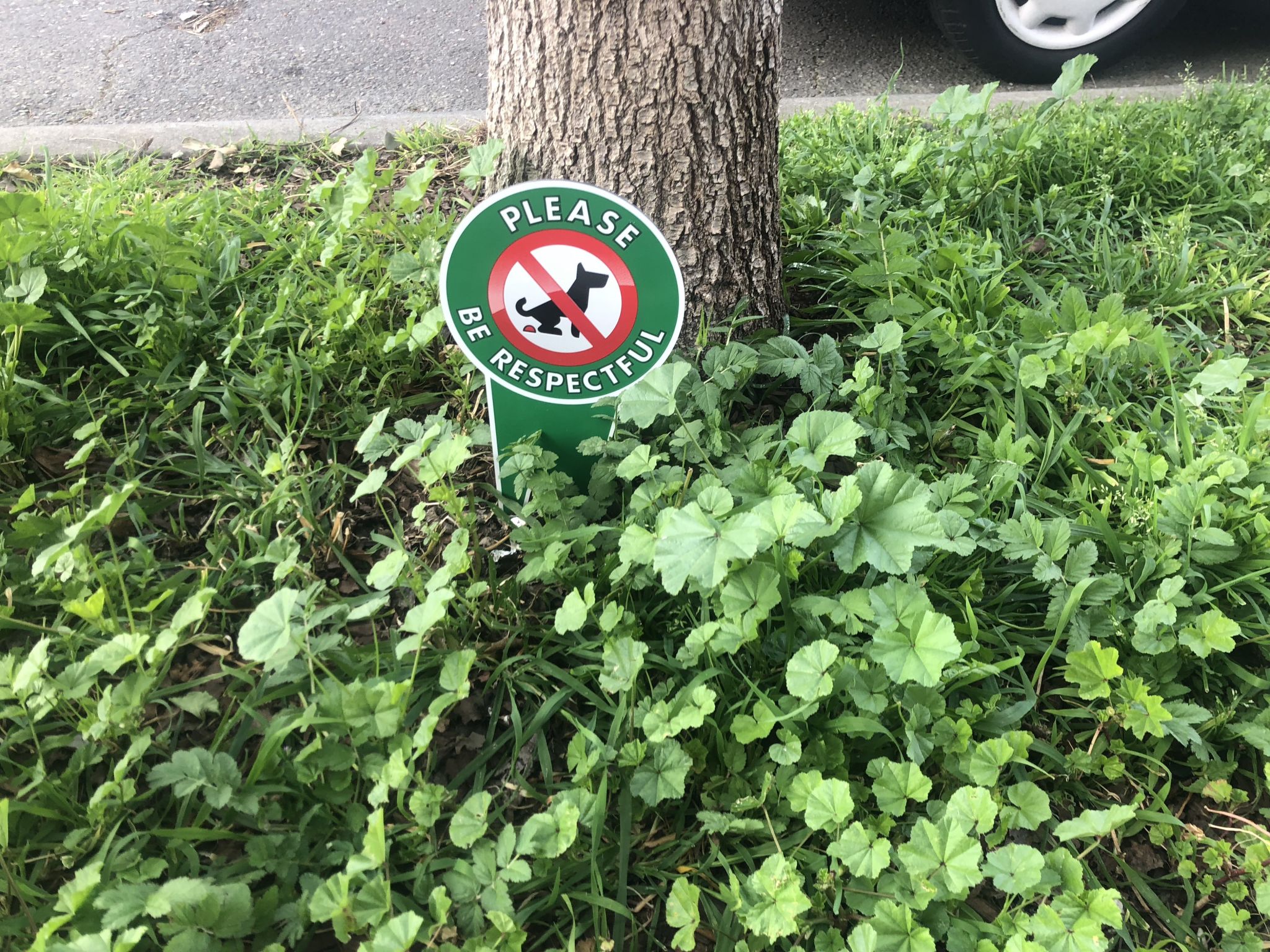 These passive-aggressive, anti-dog signs are ruining my life