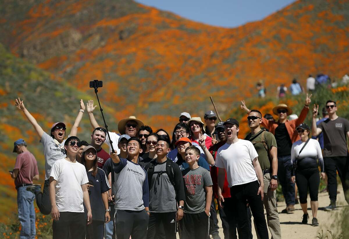 People pose for a picture among wildflowers in bloom Monday, March 18, 2019, in Lake Elsinore, Calif. About 150,000 people flocked over the weekend to see this year's rain-fed flaming orange patches of poppies lighting up the hillsides near Lake Elsinore, a city of about 60,000 residents. The crowds became so bad Sunday that Lake Elsinore officials closed access to poppy-blanketed Walker Canyon. By Monday the #poppyshutdown announced by the city on Twitter was over and the road to the canyon was re-opened. (AP Photo/Gregory Bull)