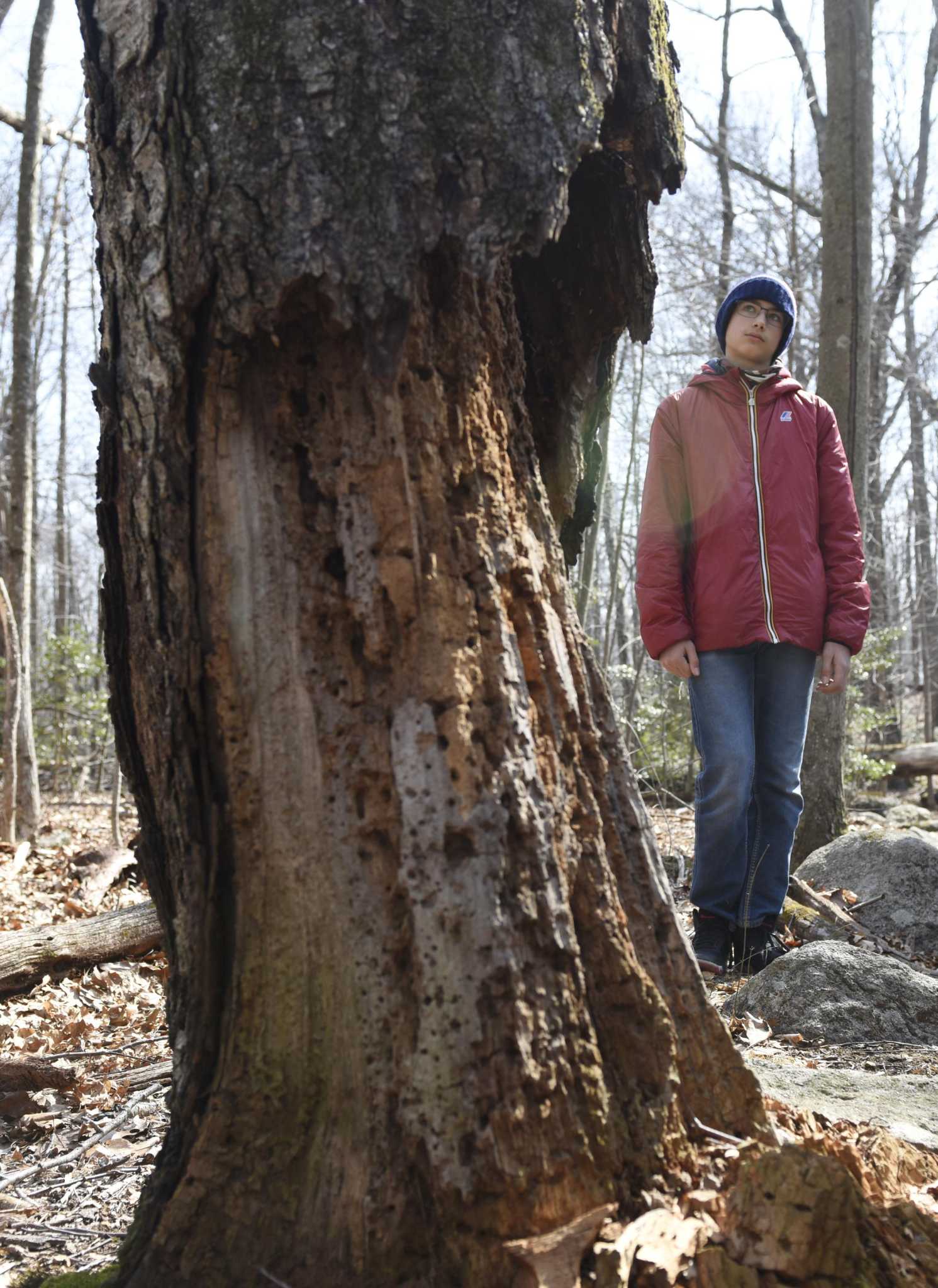 Walking into spring at Babcock Preserve