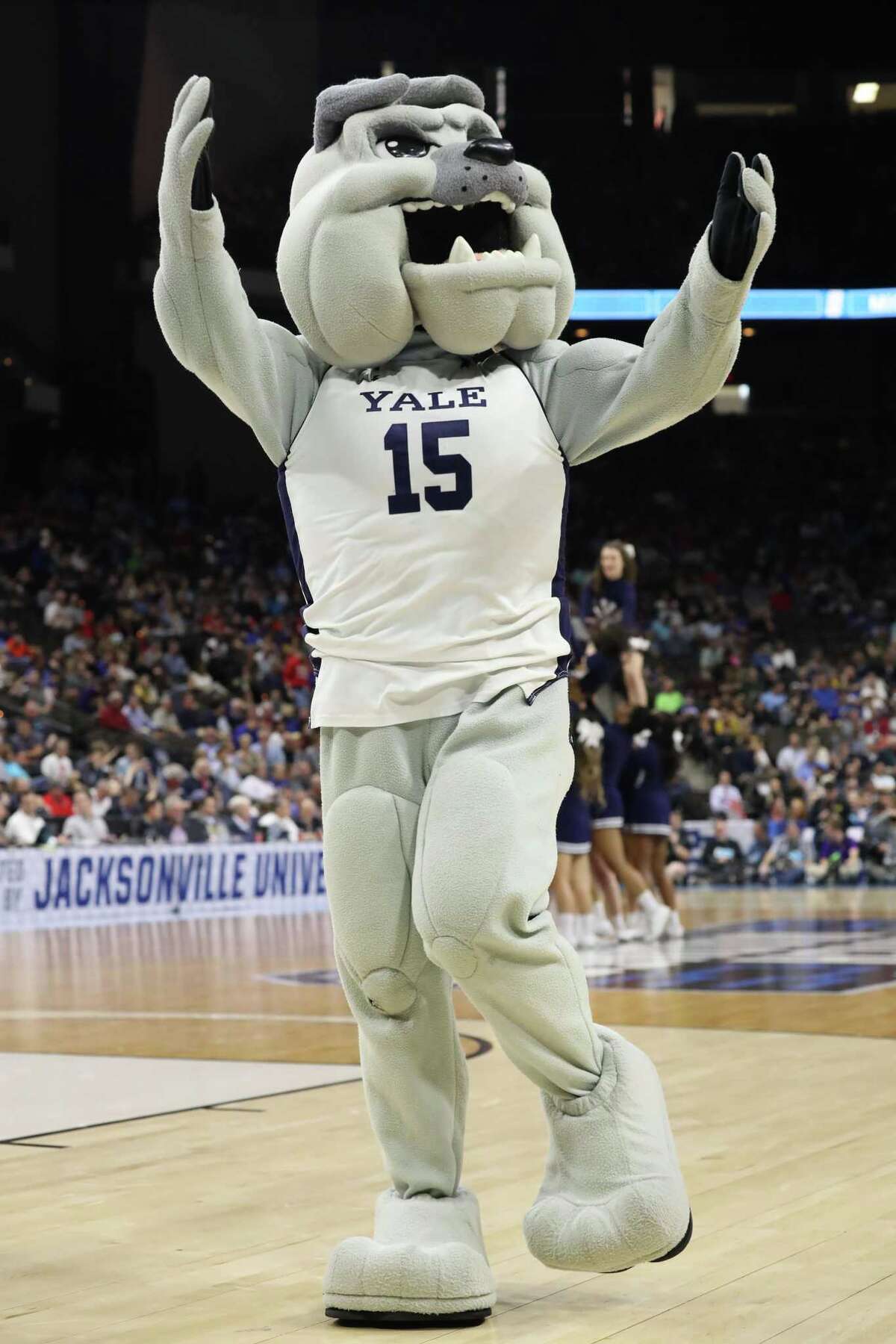 Yale's valiant comeback bid comes up just short in NCAA tourney loss to LSU