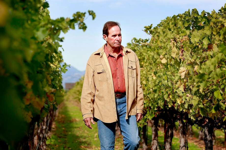 Andy Beckstoffer enjoys walking in his To Kalon vineyard and is proud of his donation of land for conservation. Andy Beckstoffer, founder of Beckstoffer Vineyards in Rutherford, CA has donated his 90-acre To Kalon Vineyard as a conservation easement, which means the land can never be developed. Photo: Brant Ward / The Chronicle 2009