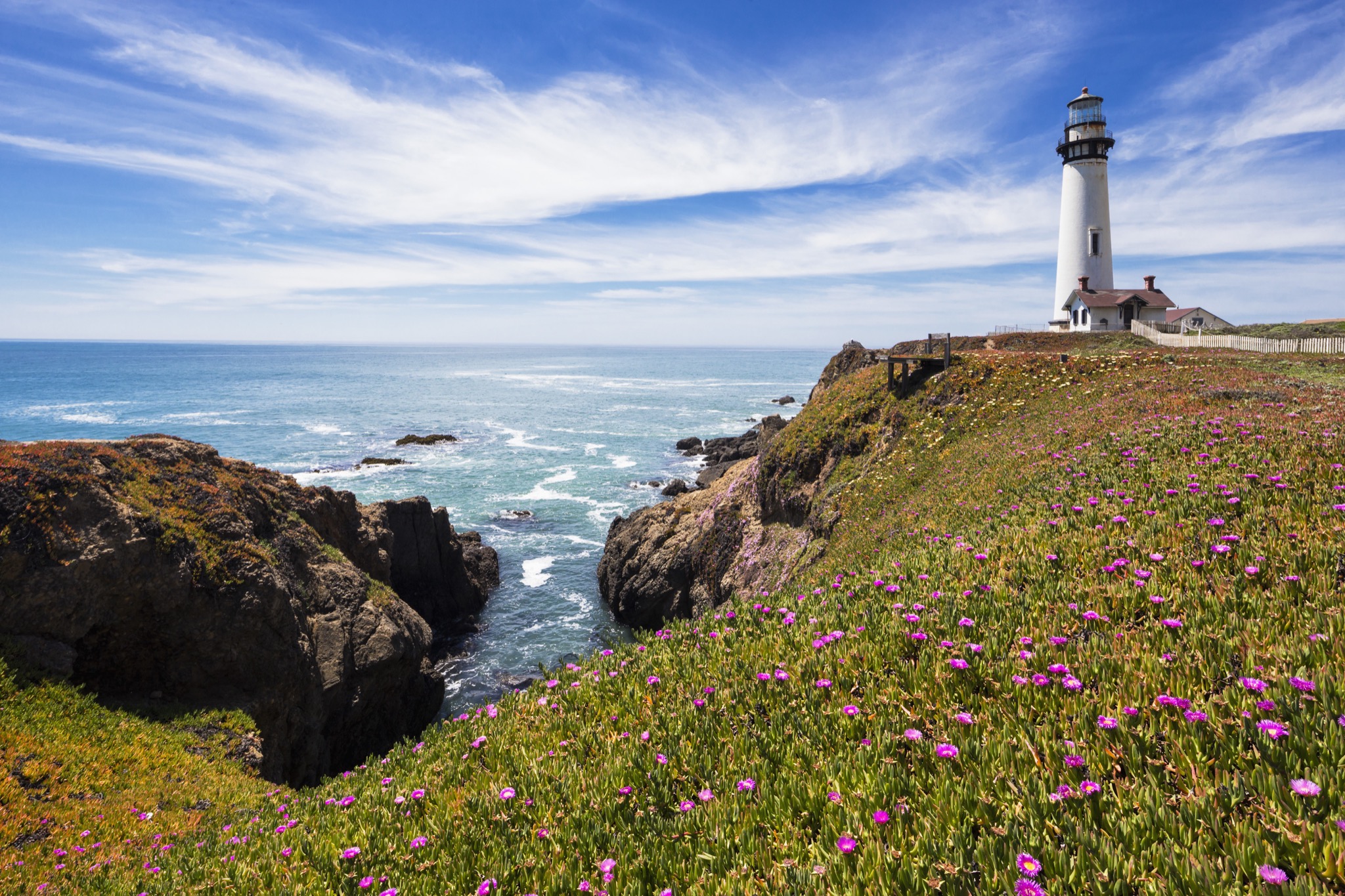 25 reasons to take a Highway 1 road trip from San Francisco to Big Sur