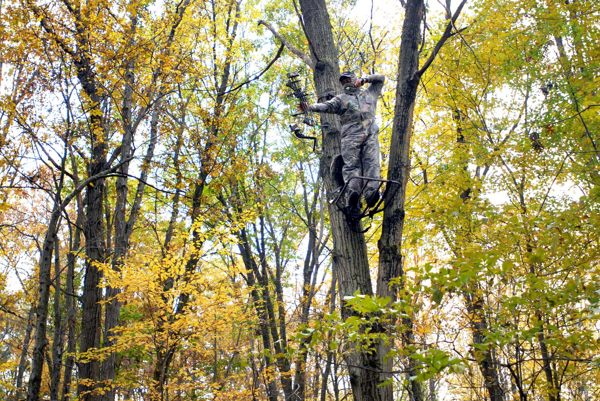 Deer hunting in Ridgefield’s sights