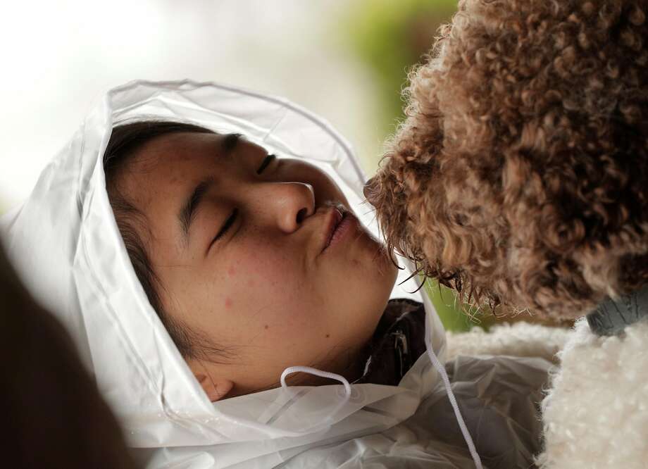 Leeza Kuo kisses her dog, Tango, during a training session for dogs learning to sniff out truffles in Placerville, Calif., on Sunday, March 3, 2019. The Truffle Dog Company trains dogs, primarily the Lagotto Romagnolo breed, to sniff out truffles with a training session at the truffle orchard of Staci O'Toole. Photo: Carlos Avila Gonzalez / The Chronicle