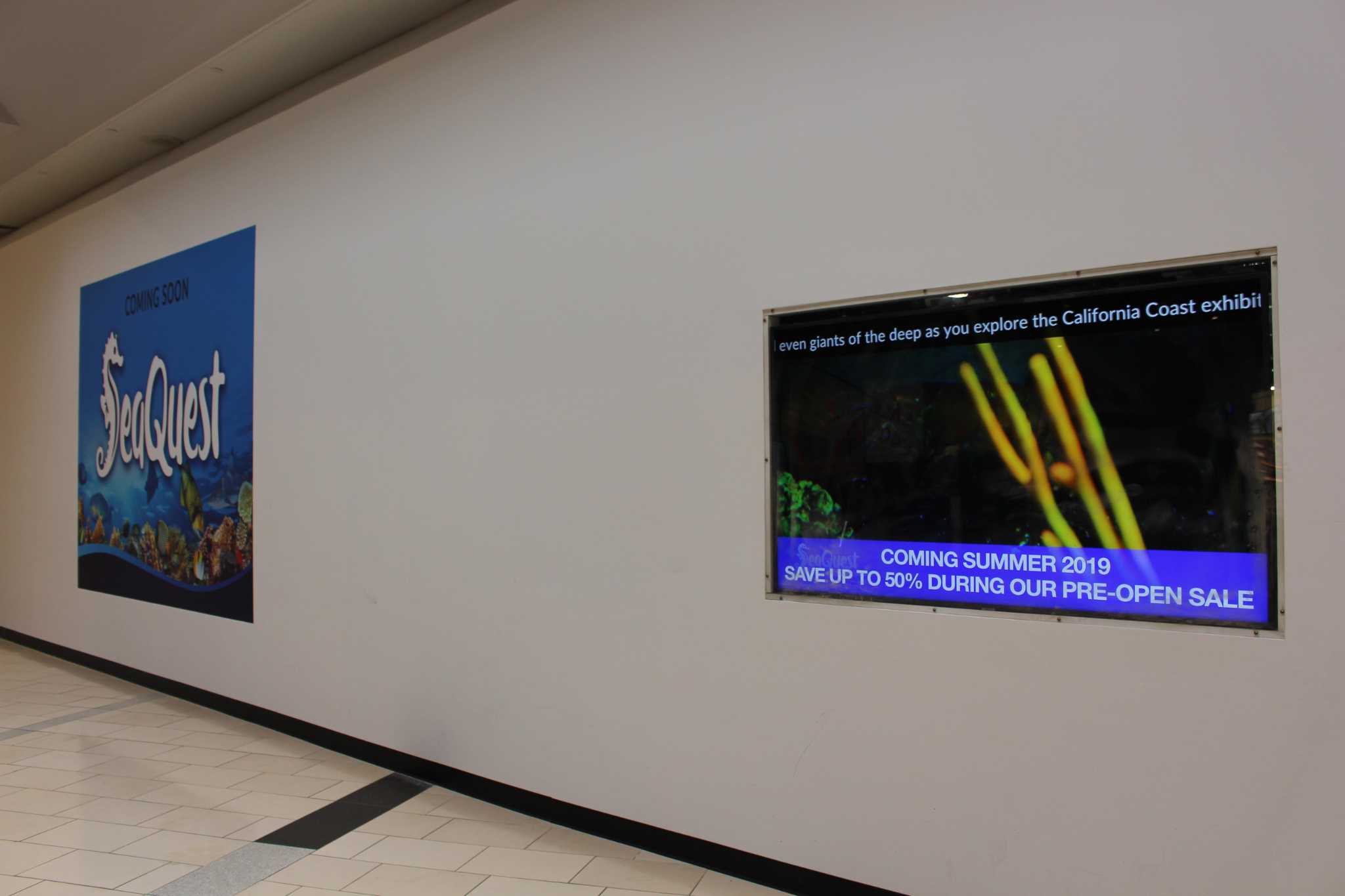 SeaQuest aquarium's Trumbull opening on track despite animal abuse