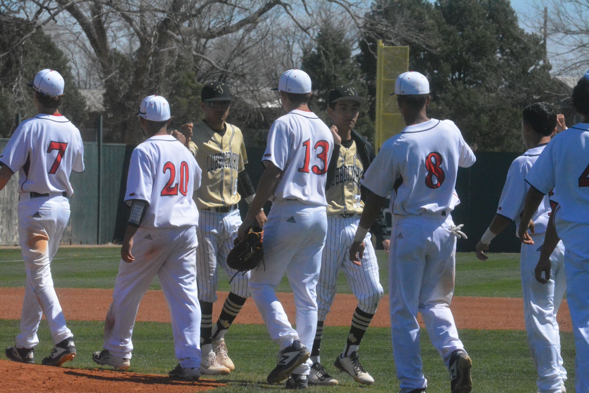 March 23 BASEBALL Plainview vs. Lubbock High