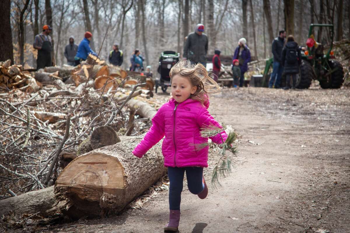 SEEN Maple Syrup Festival 2019