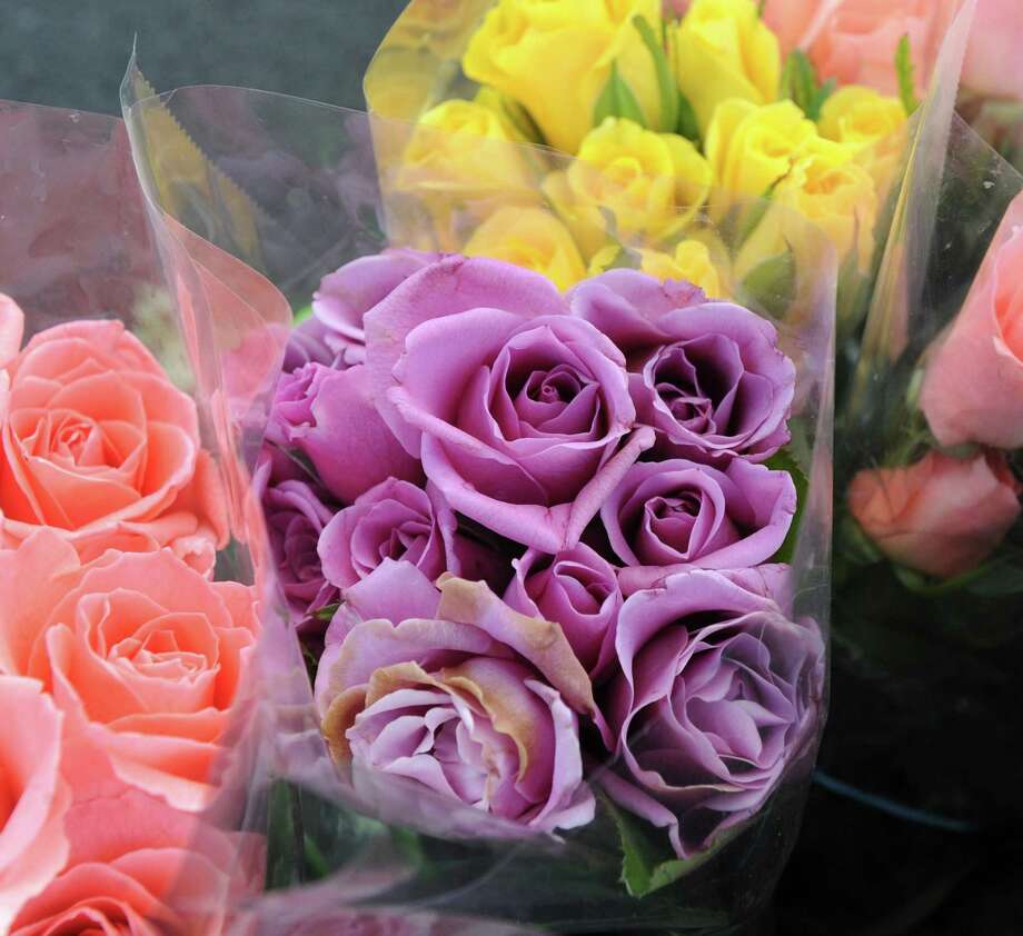 Flowers On The Green Boston Post Road Guilford Ct Best Flower Site