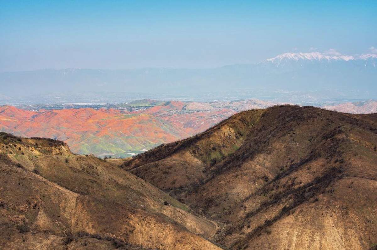 Santa Monica-based photographer Kurt Lawson captured the super bloom in Lake Elsinore, Calif., from a unique angle on a hike in the Santa Ana Mountains on March 24, 2019. In this image, a burn scar from the Holy Fire in August is in the foreground.