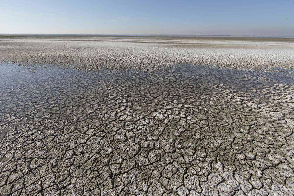 Bombay Beach Biennale focuses artists' energy in effort to save Salton Sea