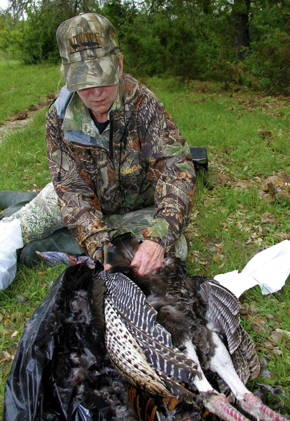 Successful Texas turkey hunters can aid research aimed at improving understanding of Rio Grande turkeys' population structure, habitat use and other traits by donating a handful of breast feathers to be used to build a DNA profile of the turkey subspecies across the state.