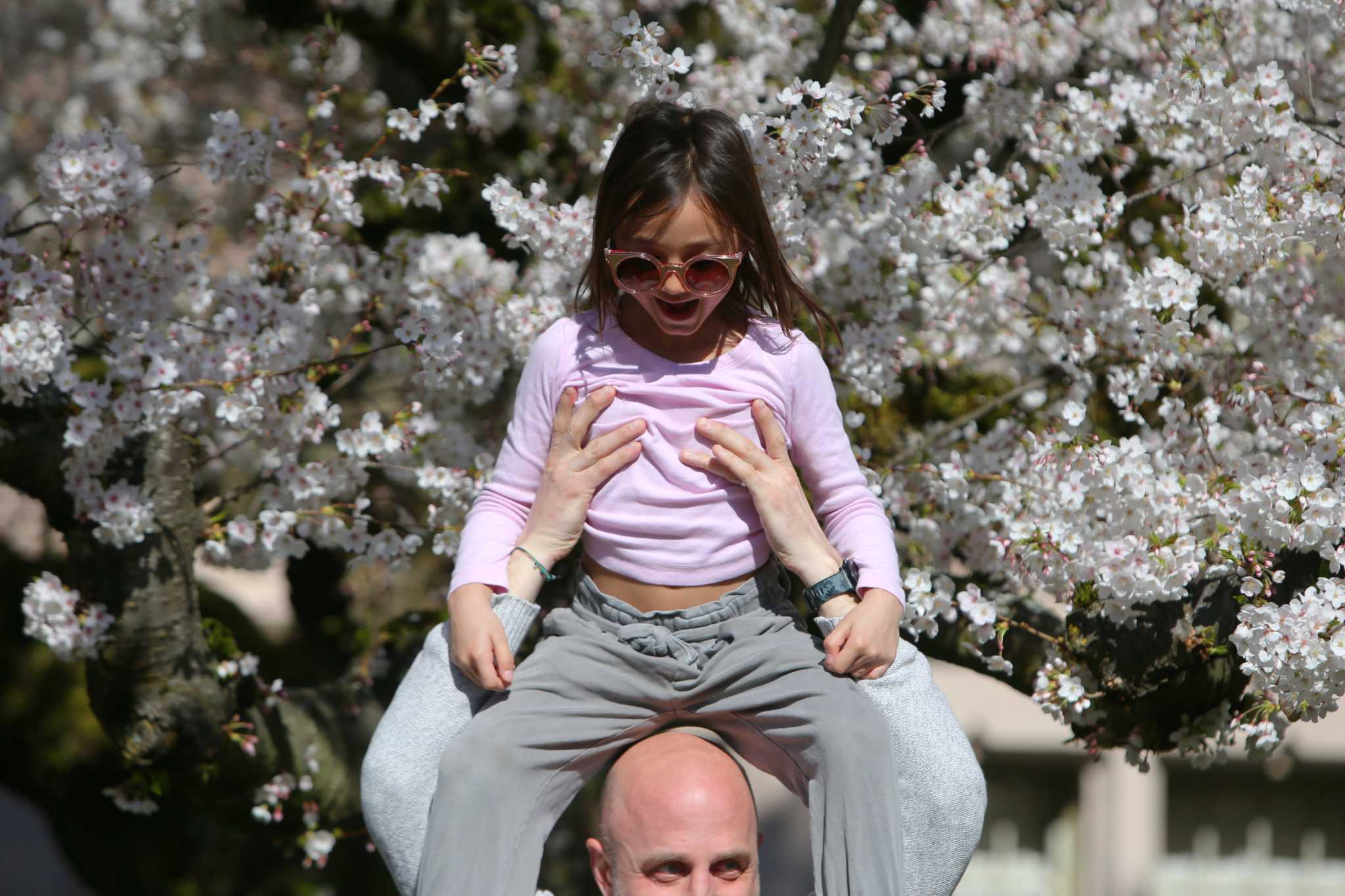 20 Iconic Seattle Activities You Must Do This Spring Seattlepi Com