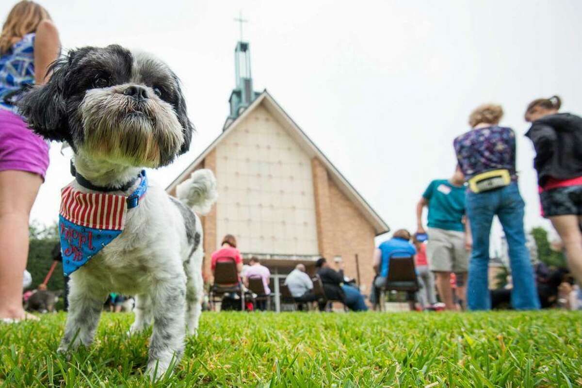 Evelyn's Park and Bellaire United Methodist Church will celebrate pets on Saturday, April 13, with a Blessing of the Animals and Evelyn's Bark.
