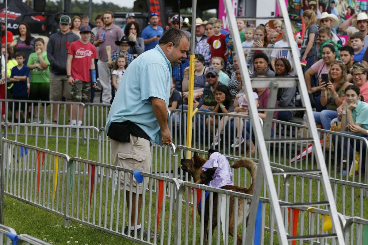 Monkey jockeys ride dogs in 'Banana Derby' at Galveston County Fair and