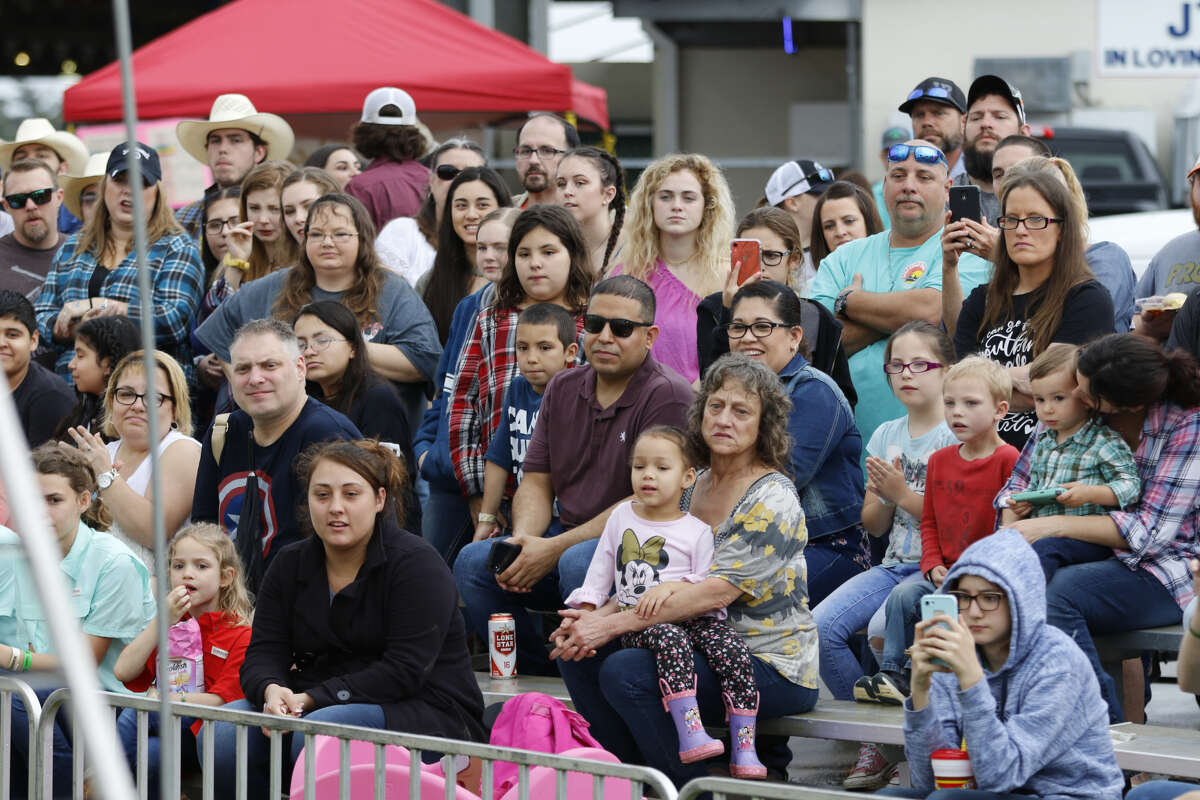 Monkey jockeys ride dogs in 'Banana Derby' at Galveston County Fair and