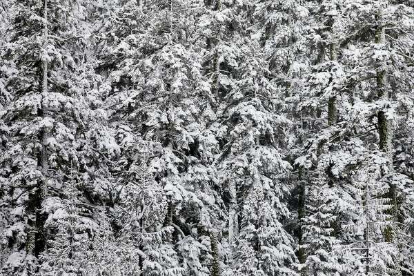 Storm expected to jump-start ski season at Lake Tahoe ...