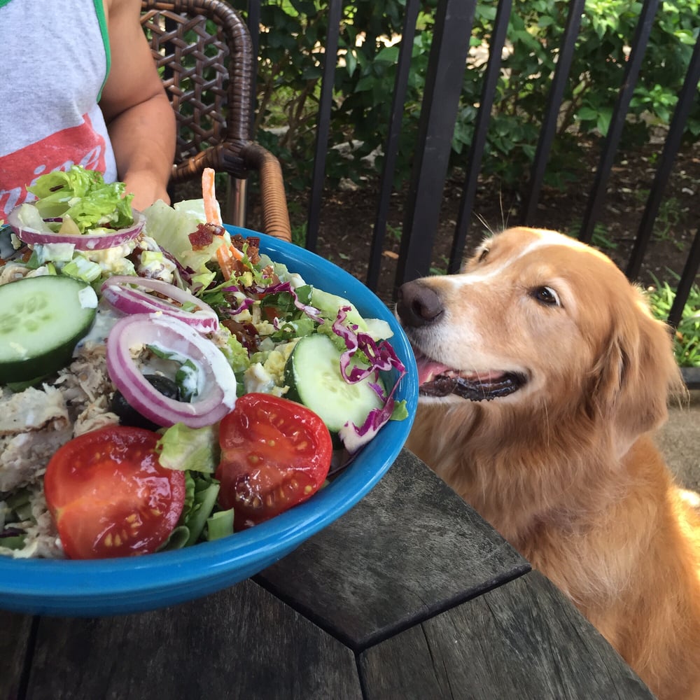 Barnaby's Cafe announces newest Houston area location