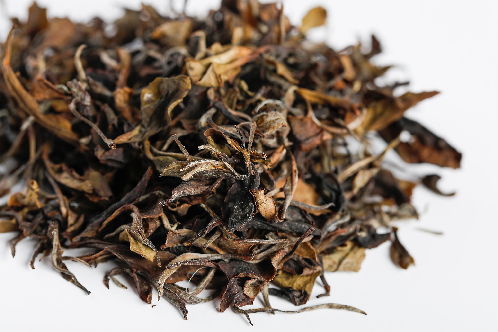 The Farmer That Saw His Budding California Tea Farm Go Up In Smoke