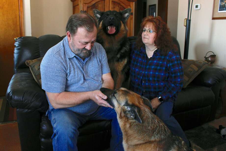 Joe and Deb Colgan sit with their German shepherds Gracie (front) and Takaani in their home in Oconomowoc, Wis. The Colgans started feeding their two previous dogs raw meat seven years ago. Photo: Photos By Carrie Antlfinger / Associated Press