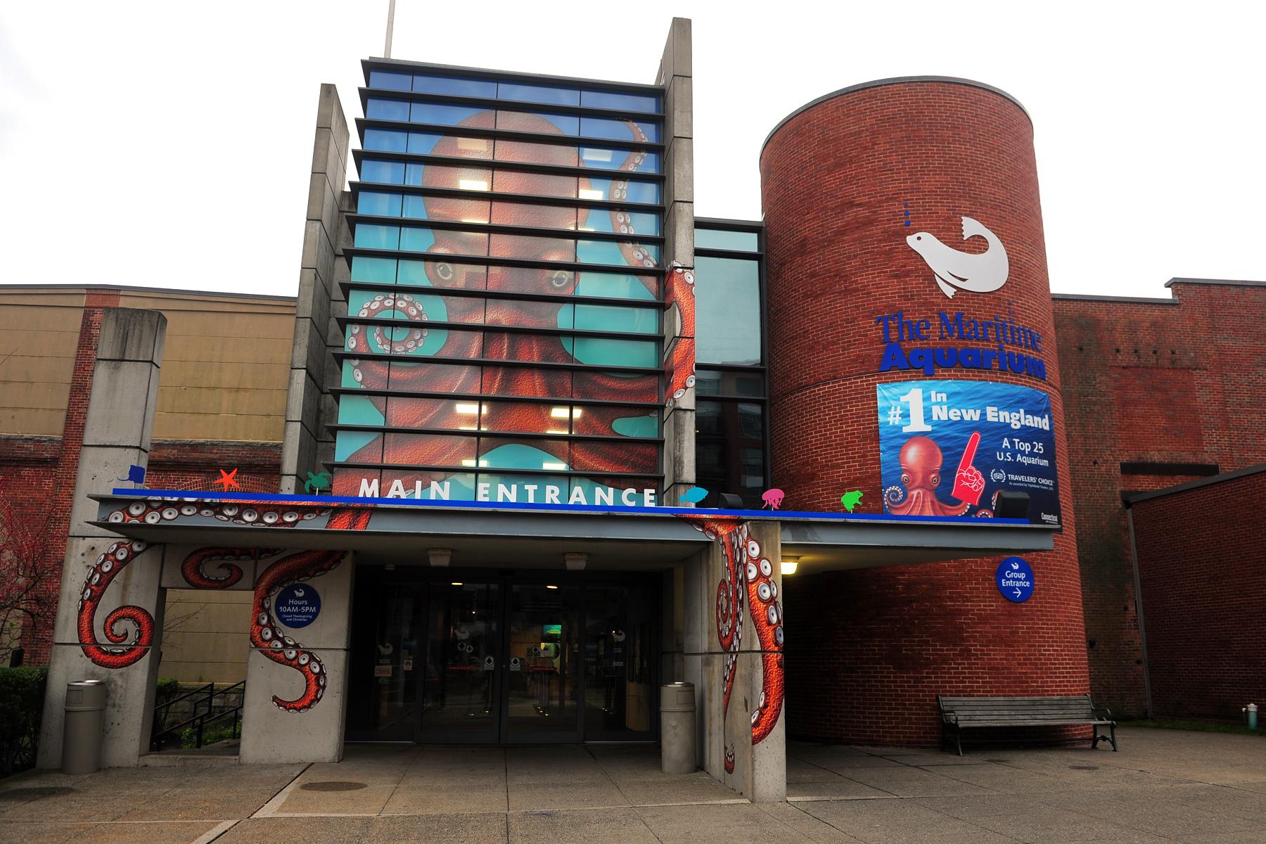 Maritime Aquarium's grand renovation plans in jeopardy due to budget